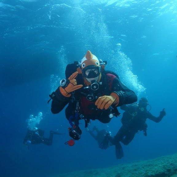 Tauchen in Kroatien, Tauchzentrum, Kurse, Tourismus "Amber"